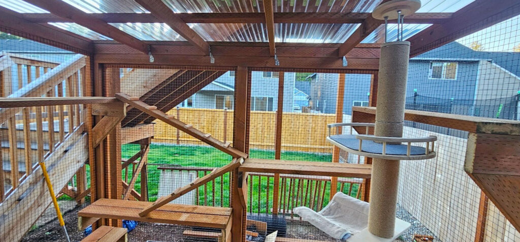 Interior of a custom catio in Yelm, Washington, with a tall scratching post, multiple climbing ramps, and a clear polycarbonate roof for sunlight and rain protection.