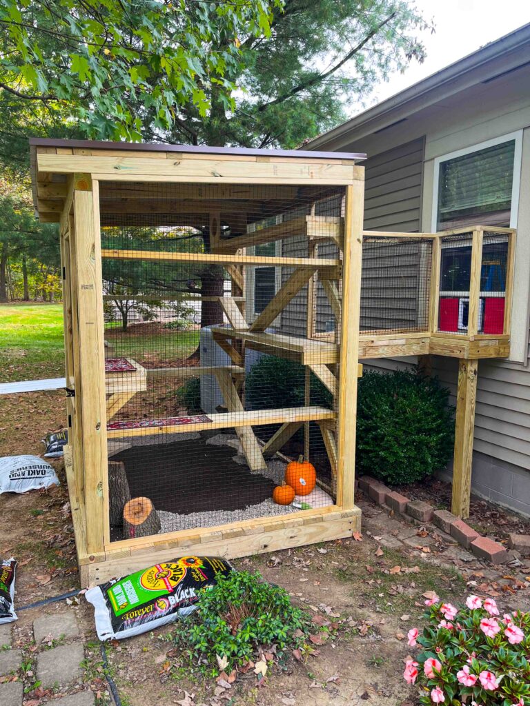 Side view of a custom catio in Delaware, Ohio, showing a wooden frame structure with elevated platforms, outdoor connection tunnel, and pumpkins inside for decoration.