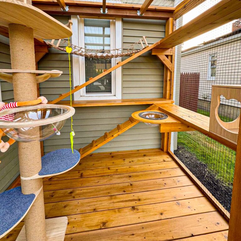 Interior of a modern catio featuring wood flooring, climbing structures, a clear bubble perch, and a hanging bridge near a window.