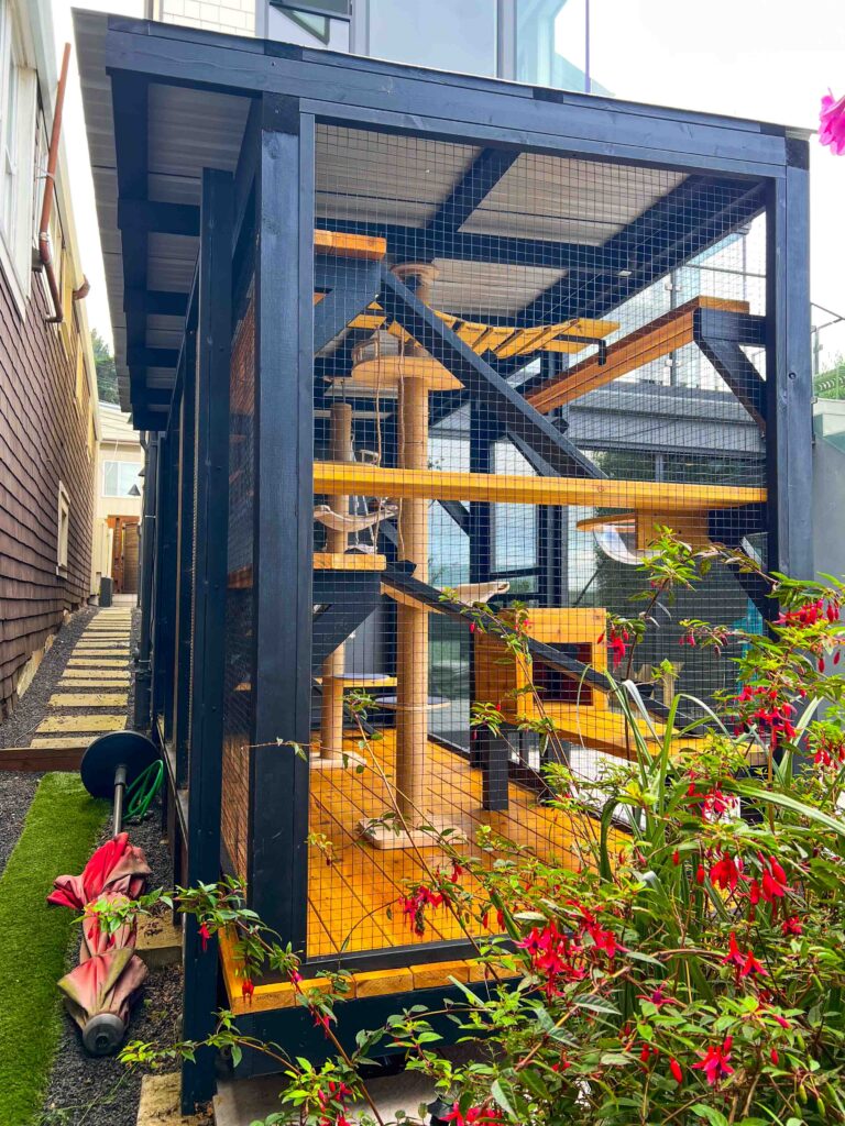 A long, enclosed custom catio built alongside a modern San Francisco home, featuring black framing, yellow wood platforms, and multiple climbing levels for cats to explore.