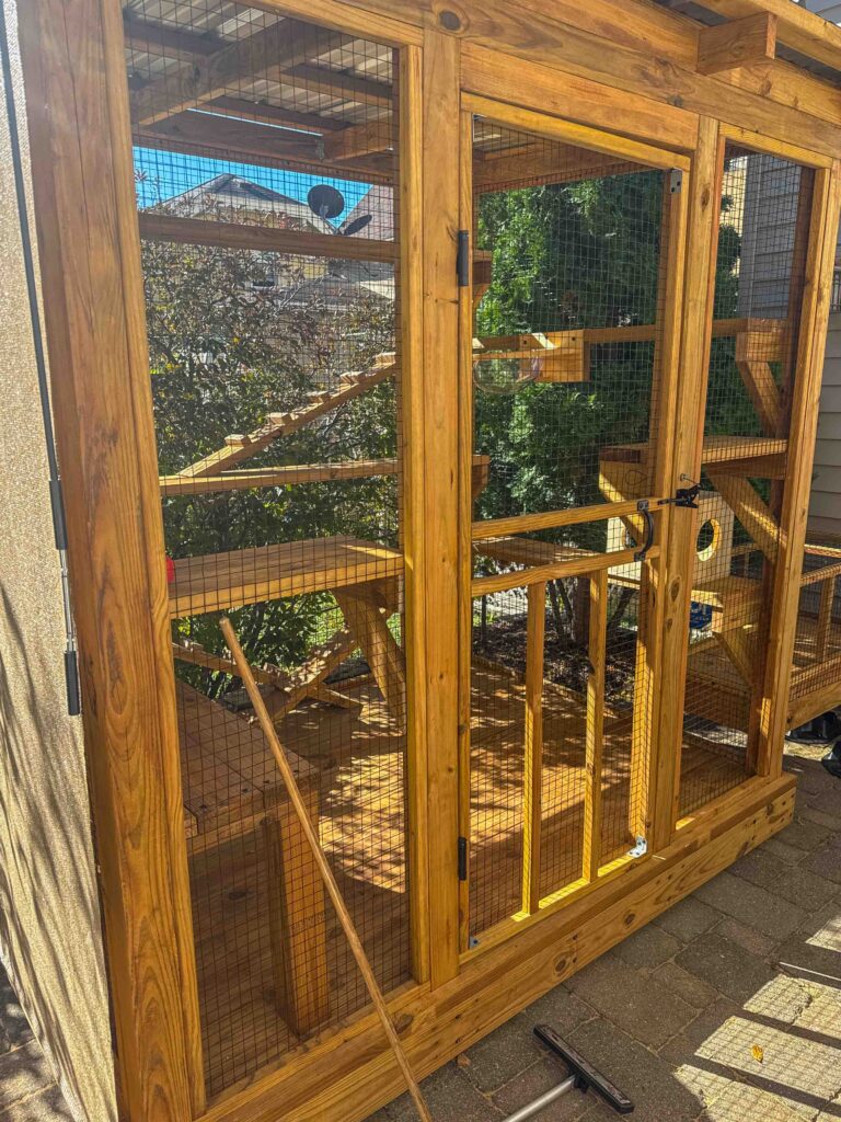Close-up of a custom cedar catio in Minneapolis showing mesh doors, solid framing, and multiple interior climbing shelves for cats.