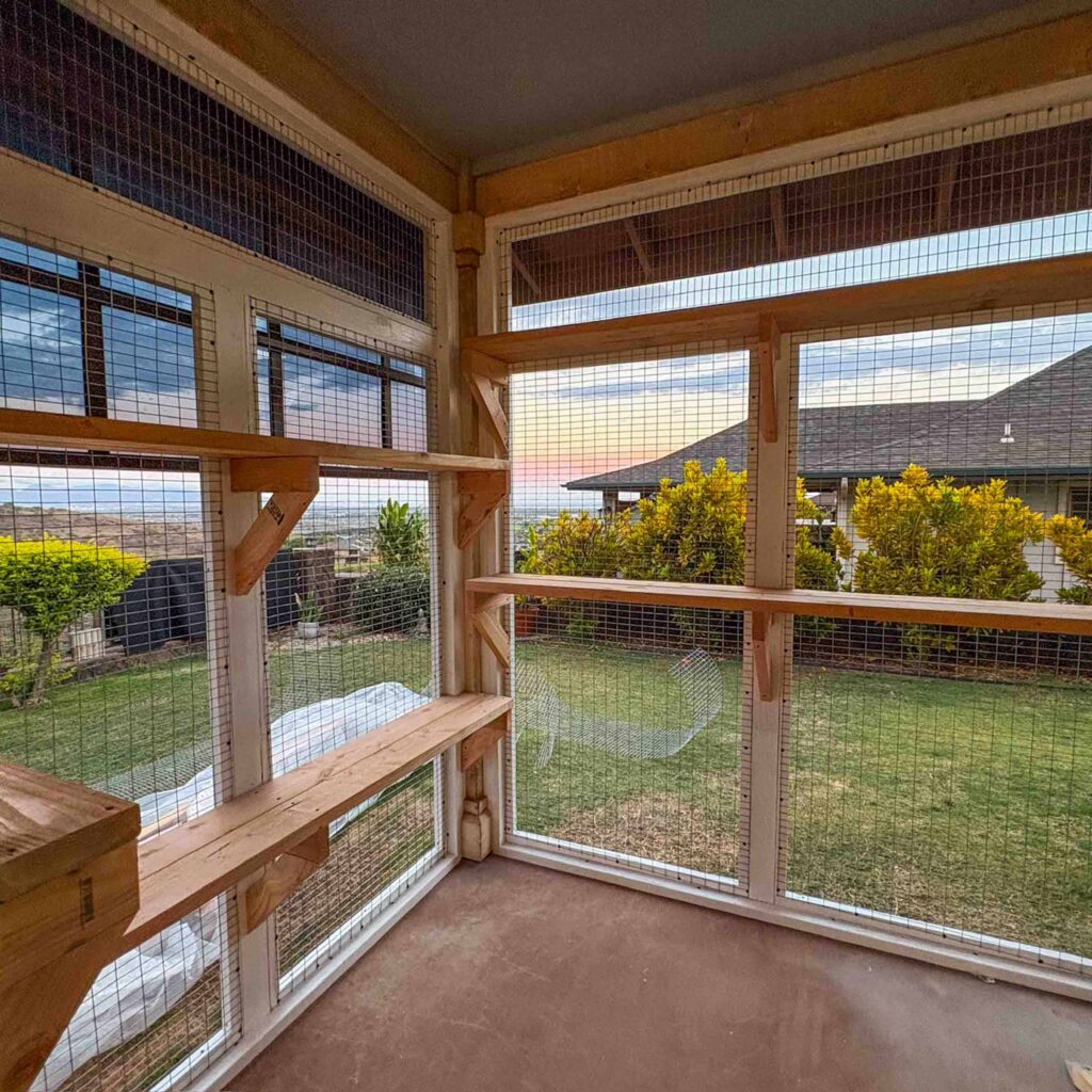 Enclosed catio with panoramic garden view and wooden perches along the mesh walls.