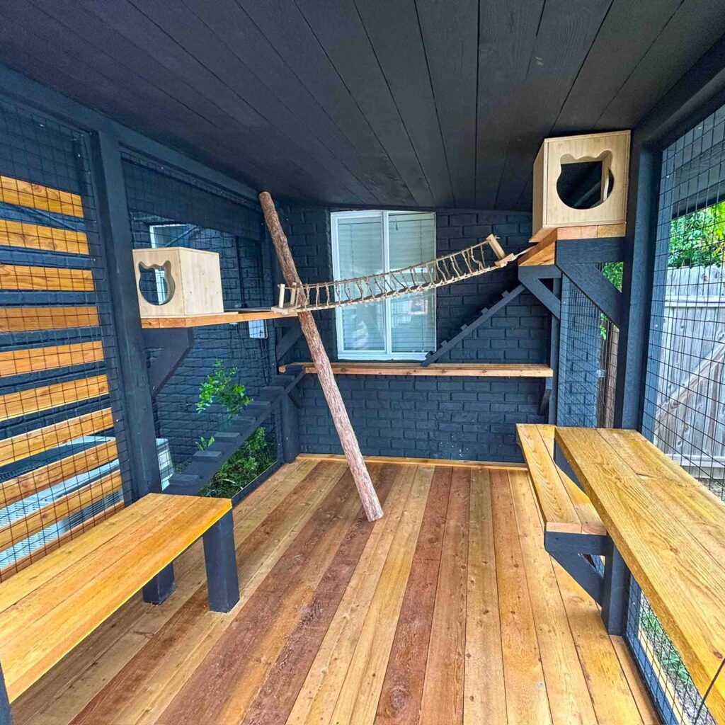 Spacious modern catio with dark-painted walls, natural wood flooring, climbing shelves, two cat houses with cutout entrances, and a rope bridge connecting elevated platforms.