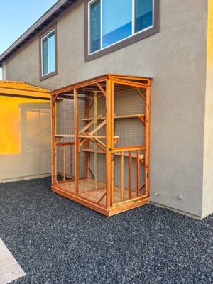 Full view of a pressure-treated wood catio with mesh wiring and elevated platforms.