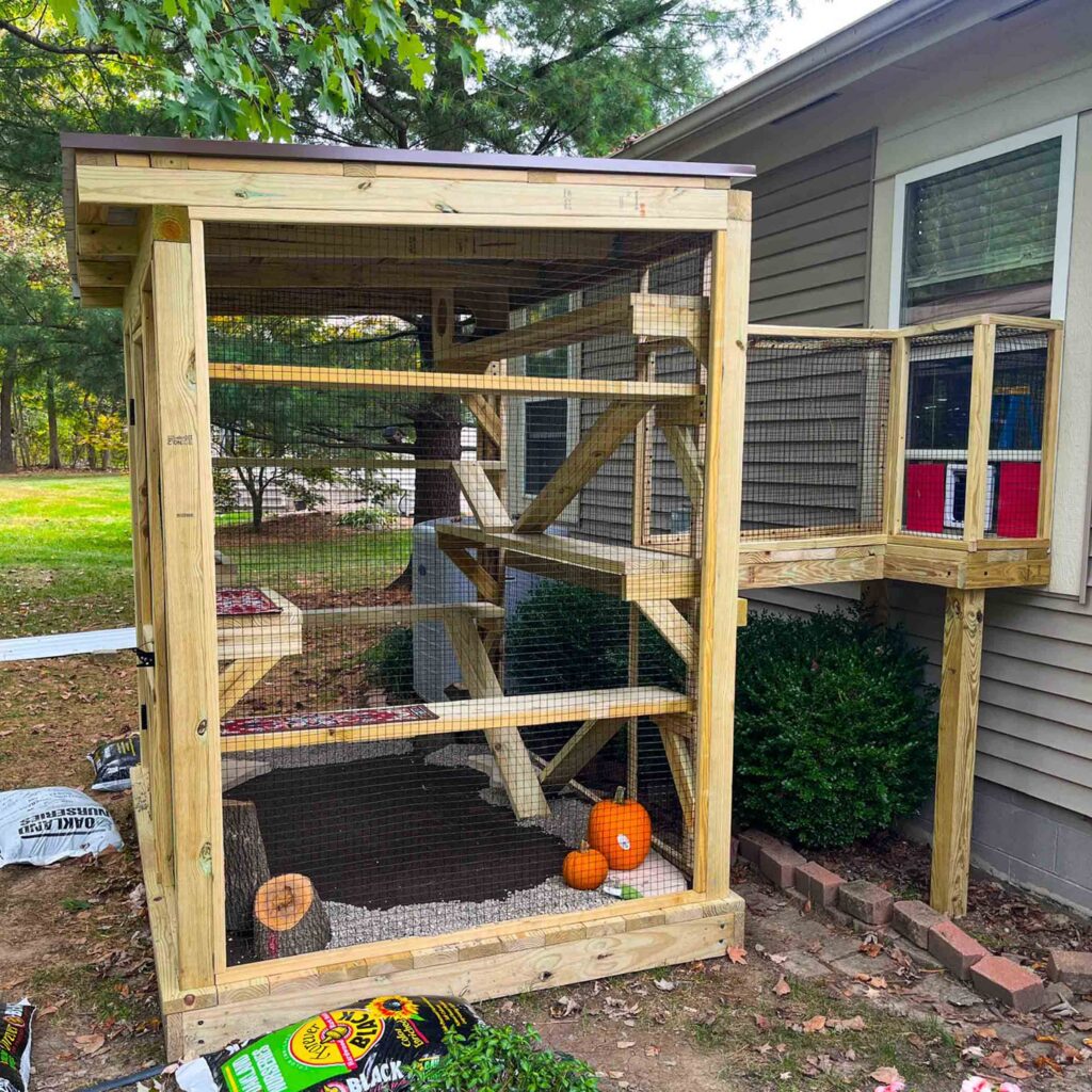 Wooden outdoor catio attached to a house with pumpkins and natural ground base.