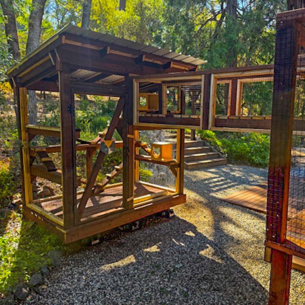 Outdoor wooden catio surrounded by trees with a tunnel connection extending from the house.