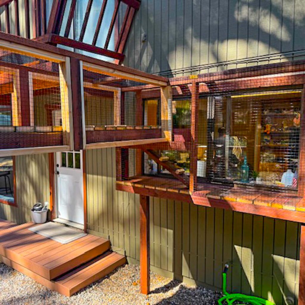 Custom elevated catio attached to a home with walkways and tunnels leading from a window to a larger outdoor structure.