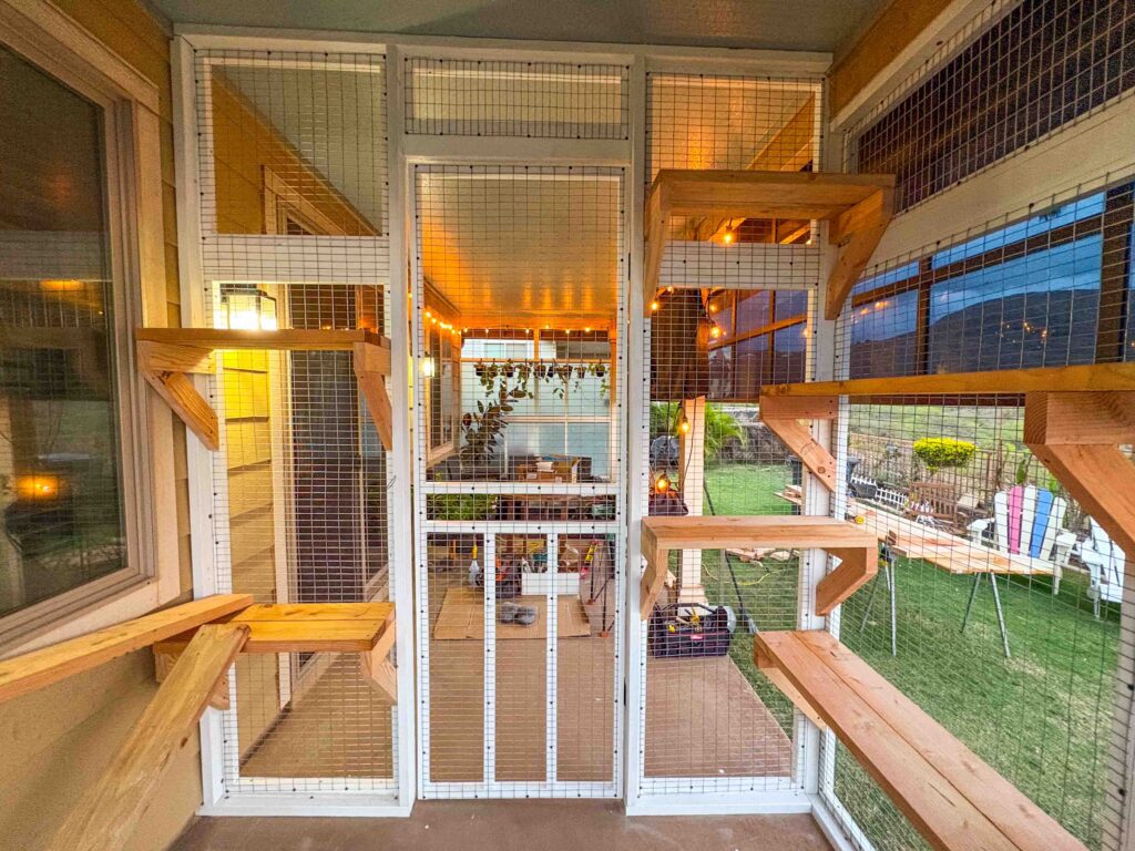 Interior perspective of a custom Kapolei, Hawaii catio featuring tiered wooden climbing shelves, warm string lighting, and a mesh-enclosed walkway leading to the home.