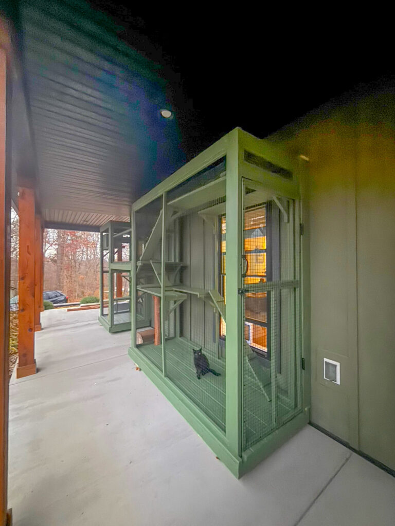 Custom green-painted catio built along a covered porch in Eastview, KY, featuring enclosed platforms and a black cat lounging inside.