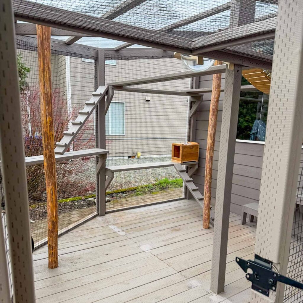 A custom outdoor catio with wooden posts, mesh walls, climbing shelves, and an elevated walkway.