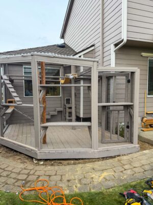 Full view of a large custom-built catio attached to a home, showing bridge, stairs, and perches inside.