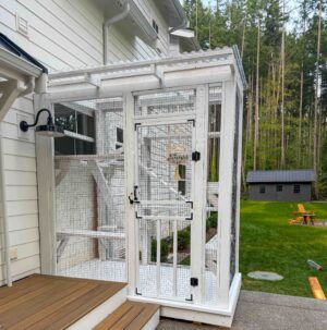 Custom white catio connected to a home with forest view in the background.