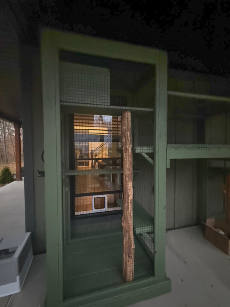 Front view of a tall green catio module featuring secure mesh walls, interior shelves, and a natural tree branch used as a climbing post.