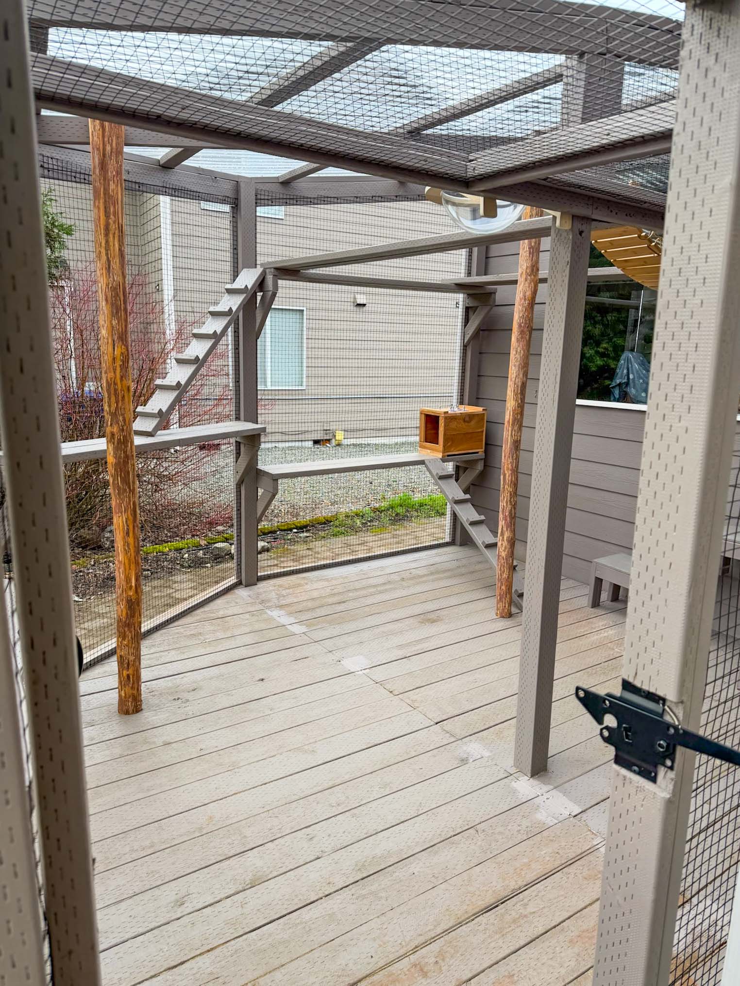 Tacoma Washington Catio Builds