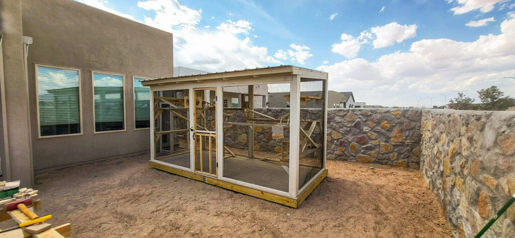 White-framed custom catio with mesh walls installed in a desert-style backyard.