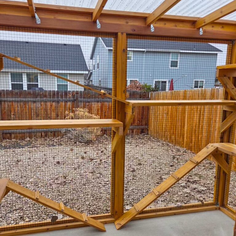 Catio interior featuring wooden shelves and an angled climbing ramp along the mesh wall.