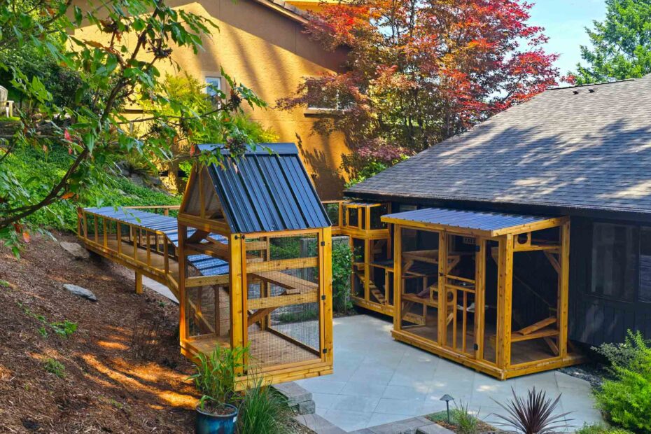 Multi-structure custom catio system with enclosed walkways connecting several wooden enclosures.
