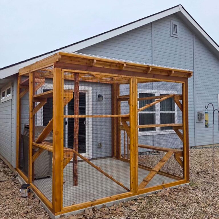 Exterior view of a custom catio attached to a home with wooden framing and mesh walls.