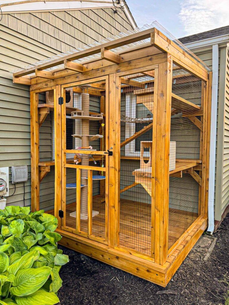 Medium-sized wooden catio with clear roof panels and interior climbing posts beside a home.