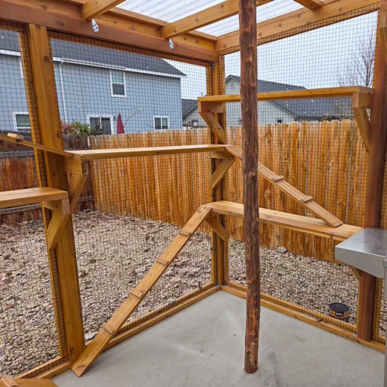 Interior catio shelves and climbing ramps made from natural wood with a central log post.