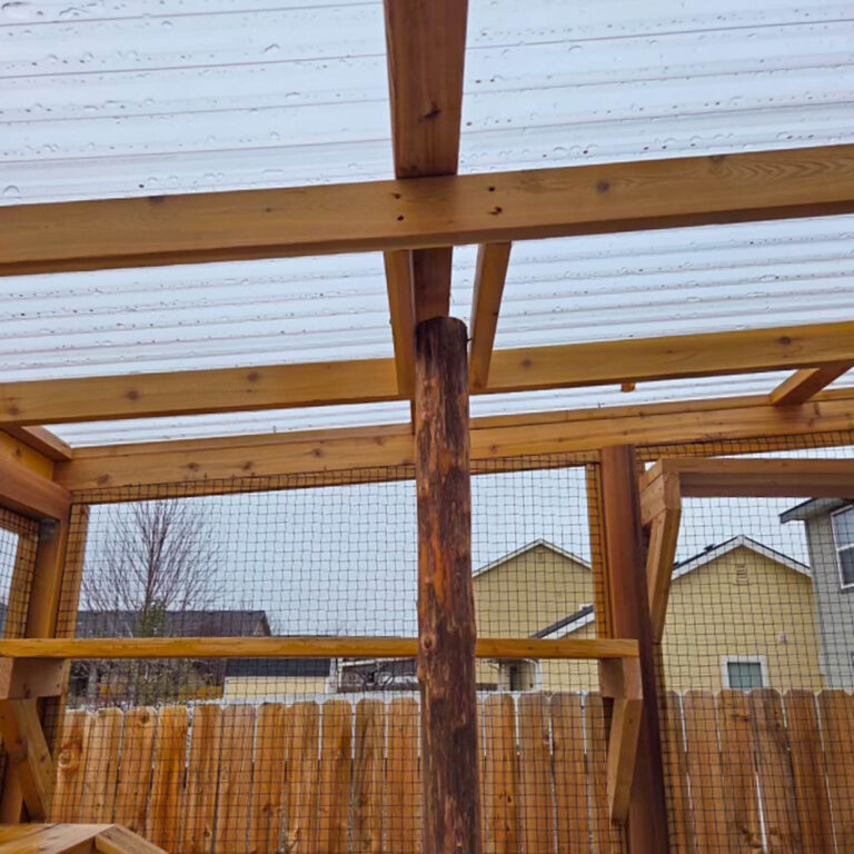Interior roof view of a custom catio featuring clear polycarbonate roofing panels and natural wood framing.