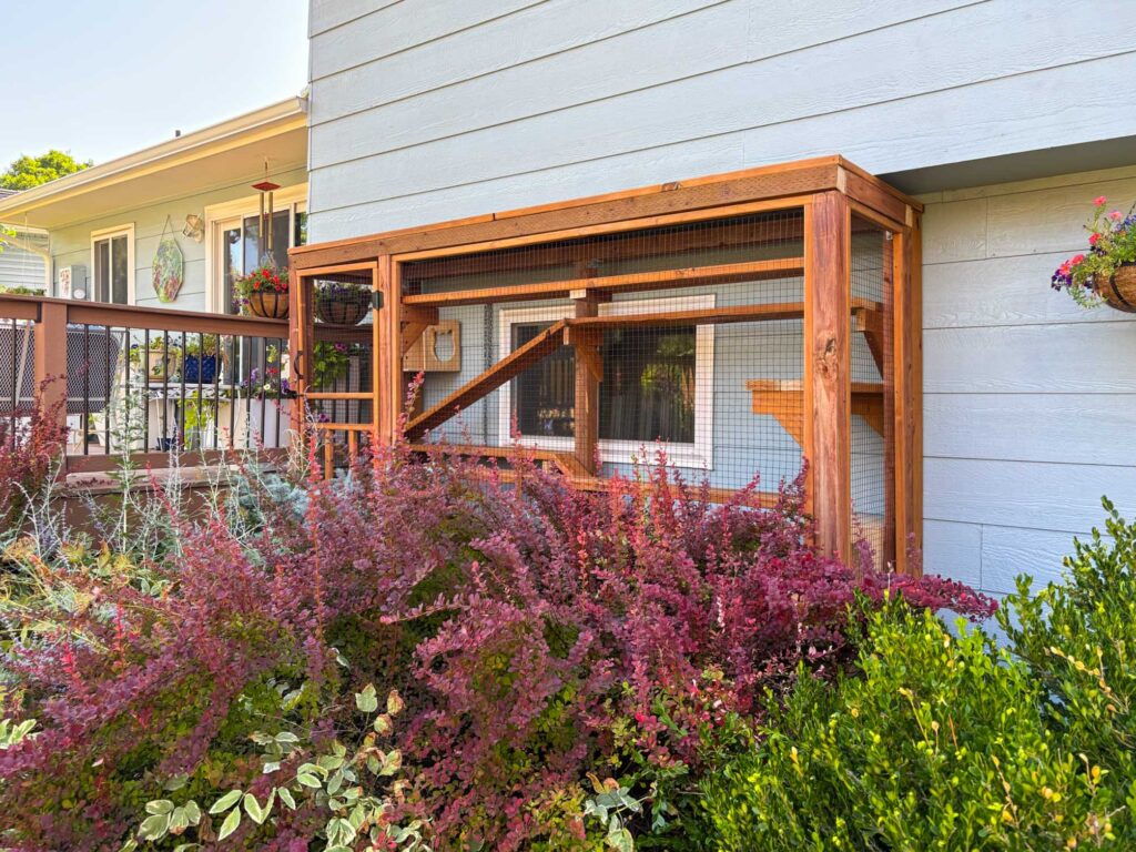 Low-profile wooden window catio installed along a home exterior surrounded by landscaping.