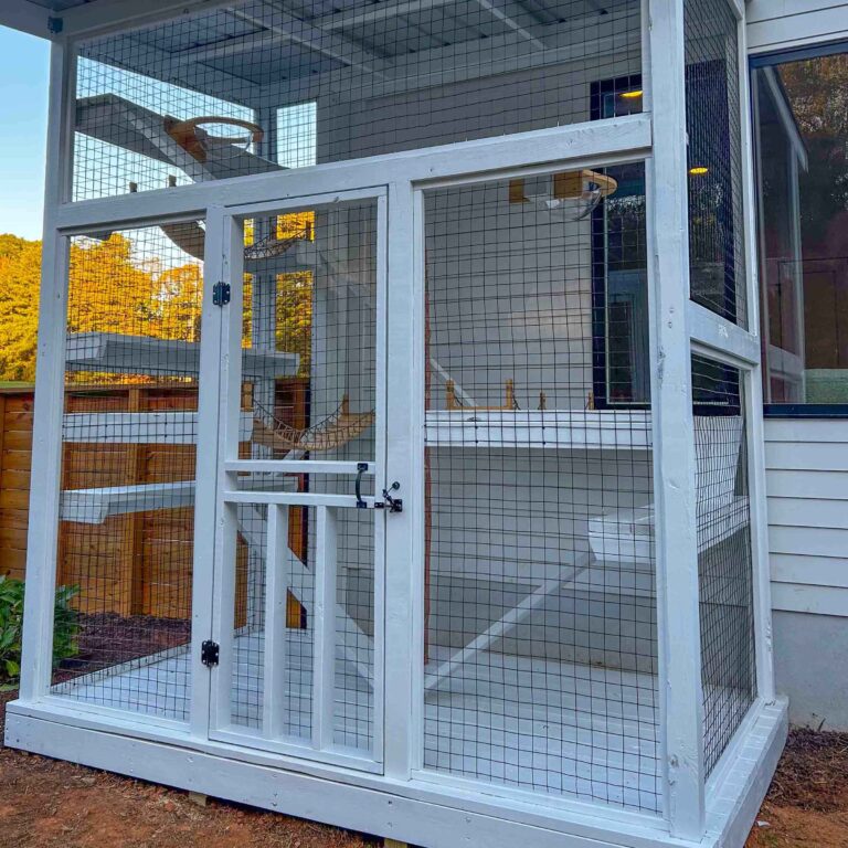 Front-right close-up of a white catio with a secure locking door and elevated interior platforms.