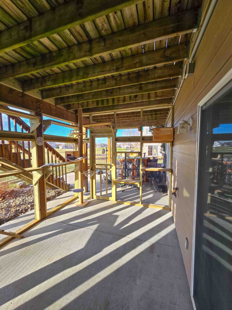 Spacious covered custom catio with climbing shelves, ramps, and enclosed mesh walls built under a deck in Ankeny, Iowa.