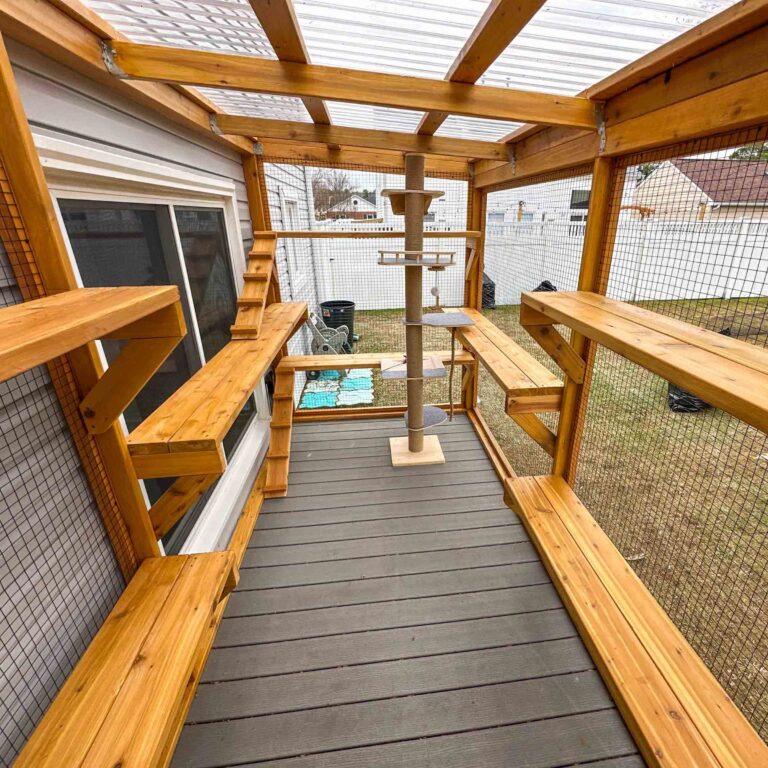 Interior view of a custom wooden catio featuring multiple built-in shelves, ramps, and a central cat tree for climbing and lounging.