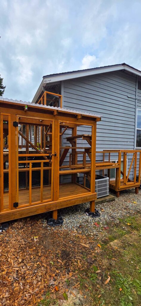 A custom cedar catio in Renton, WA featuring a covered outdoor enclosure connected to the home, with elevated shelves, a secure entry door, and a raised foundation built over gravel.