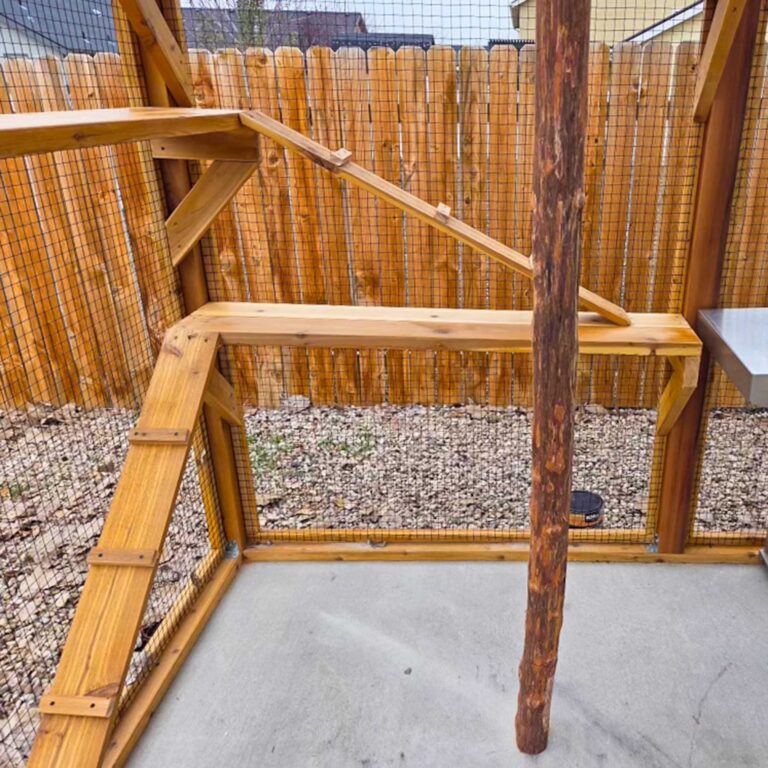 Catio corner with wooden ramps and shelves connected to a central log post over a concrete floor.