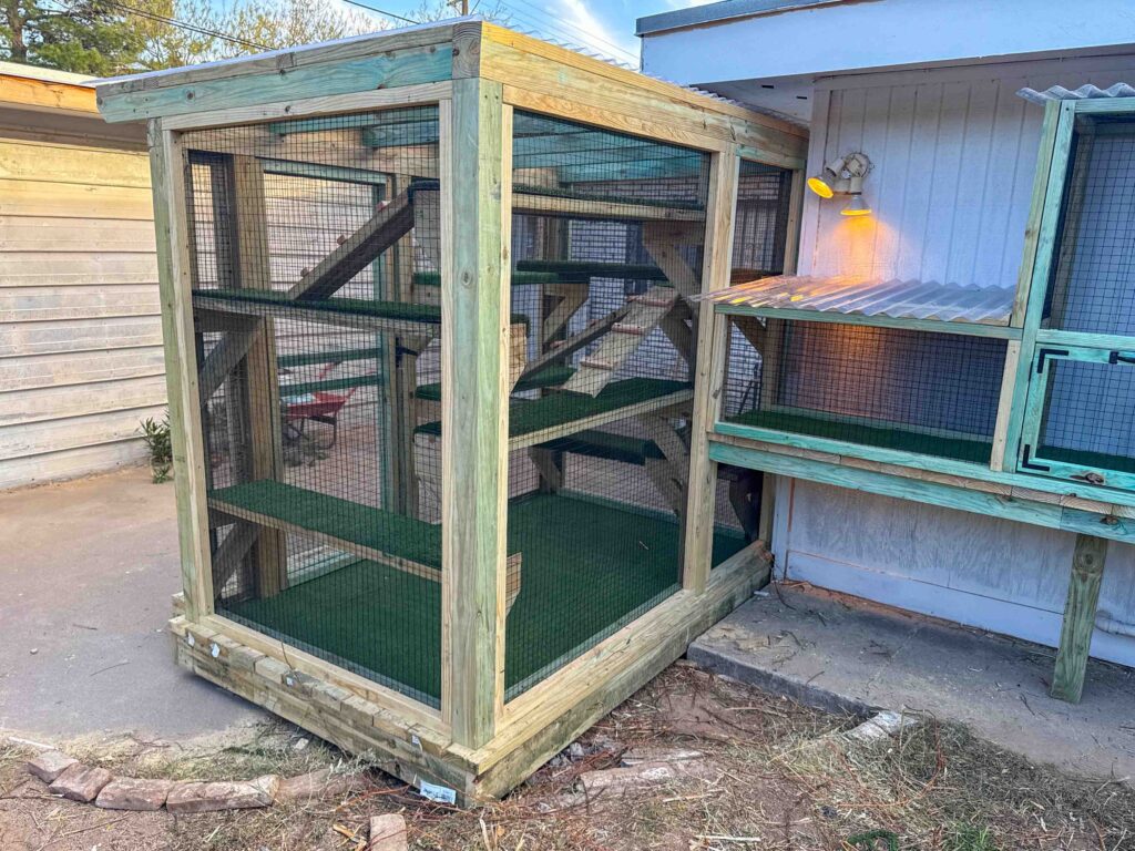 A custom wooden catio in El Paso, TX featuring a tall enclosed play tower connected to a wall-mounted tunnel section, complete with multiple ramps, shelves, and green outdoor flooring.