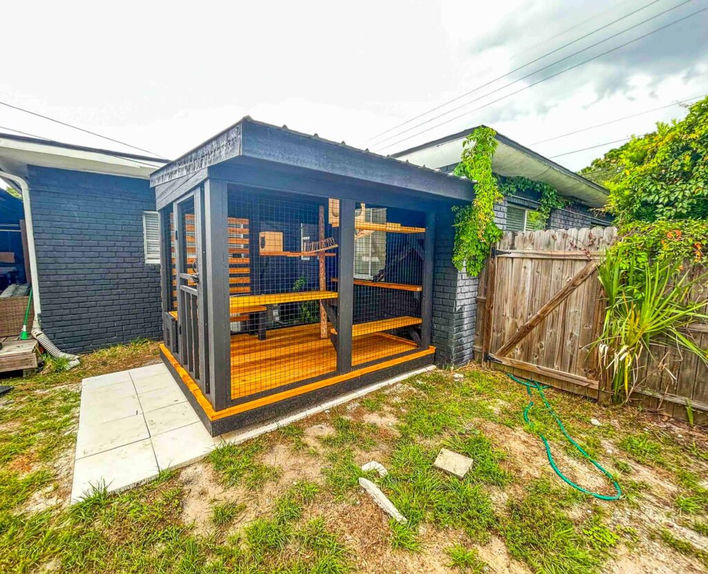 Modern dark gray custom catio with natural wood platforms and a flat roof in a backyard.