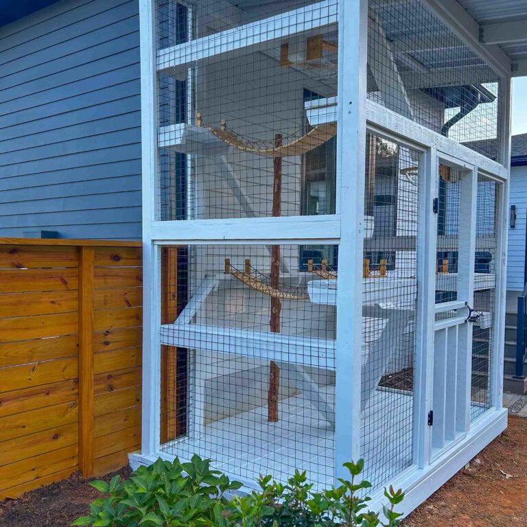 Side angle of a white custom catio showing a rope bridge, shelves, and a tall mesh enclosure.