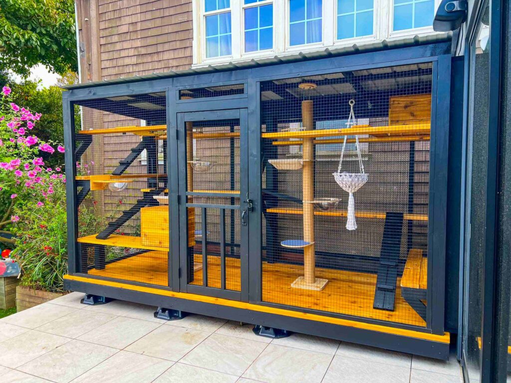 Large modern custom catio with dark framing, multiple shelves, and hanging enrichment features.