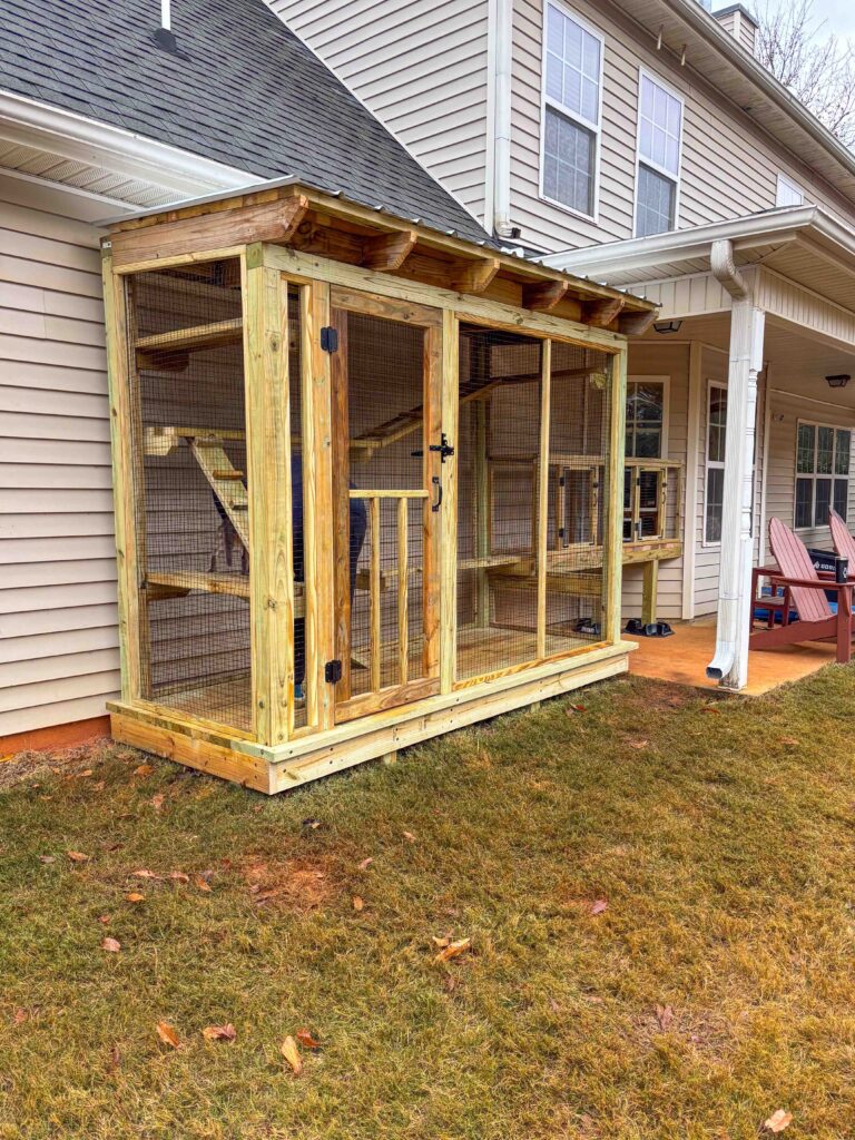 Front view of a custom wooden catio in McDonough, GA, featuring double-entry doors, wire mesh sides, and interior platforms for climbing.