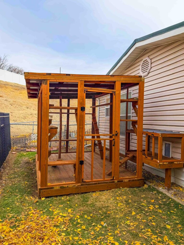 Medium-sized wooden custom catio with wire mesh panels, interior platforms, and a secure door in a backyard setting.