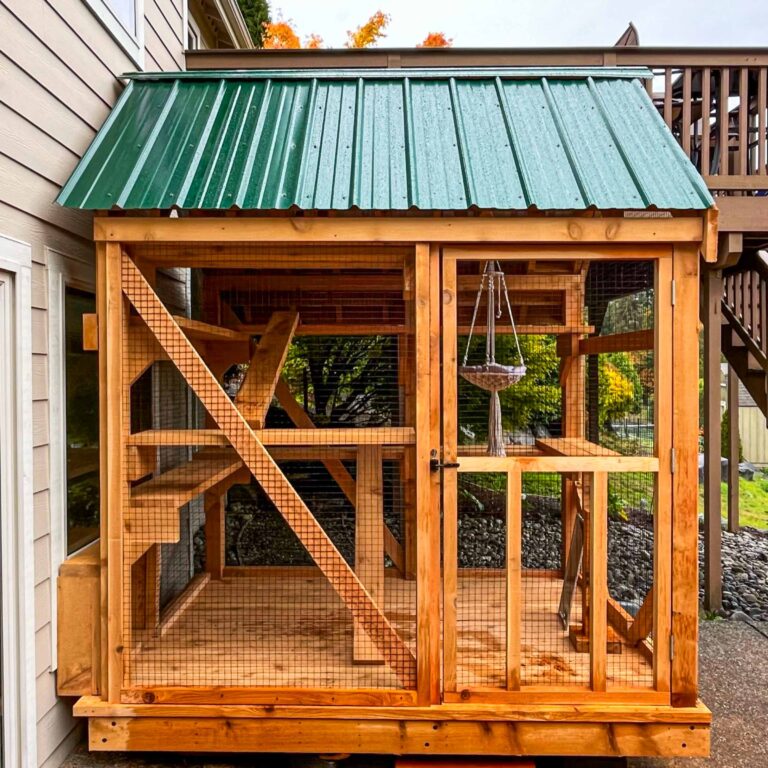 Front view of a custom catio with a green metal roof, cedar wood construction, wire mesh enclosure, interior ramps, platforms, and a secure walk-in door.
