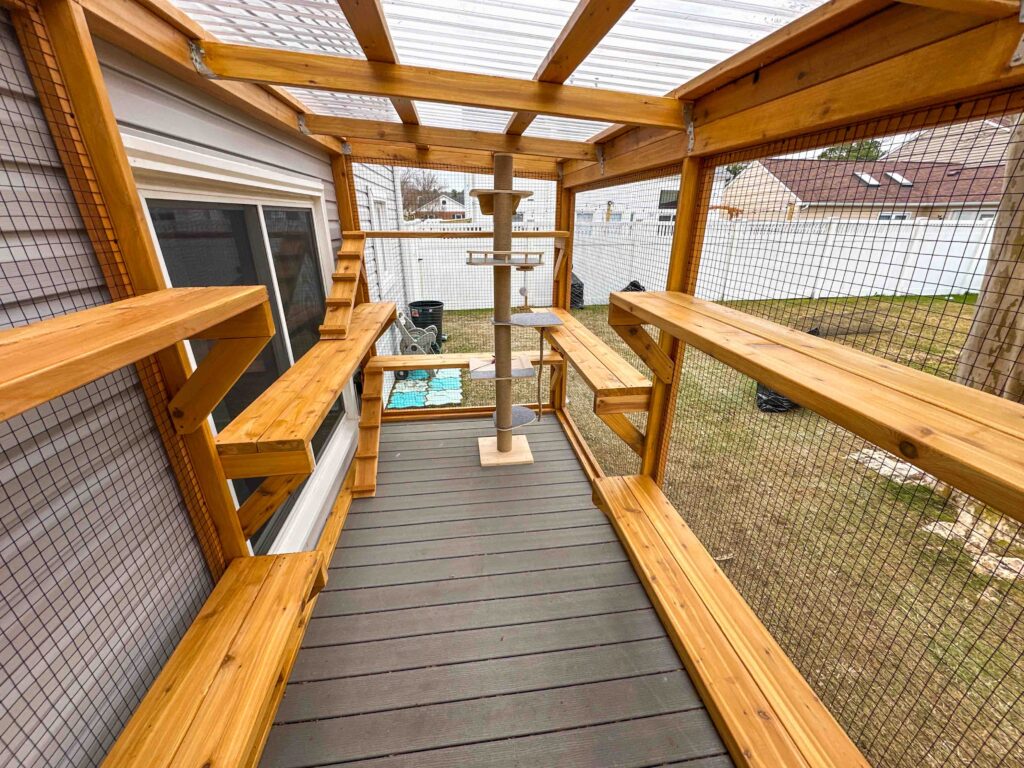 Interior view of a custom catio with multiple cedar shelves, ramps, and platforms, including a vertical scratching post and clear polycarbonate roof panels.