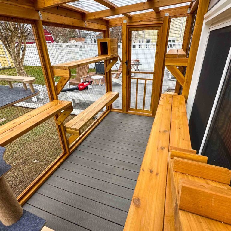 Inside view of a custom catio showing wide wooden shelves, enclosed wire panels, and a secure entry door leading to the backyard.