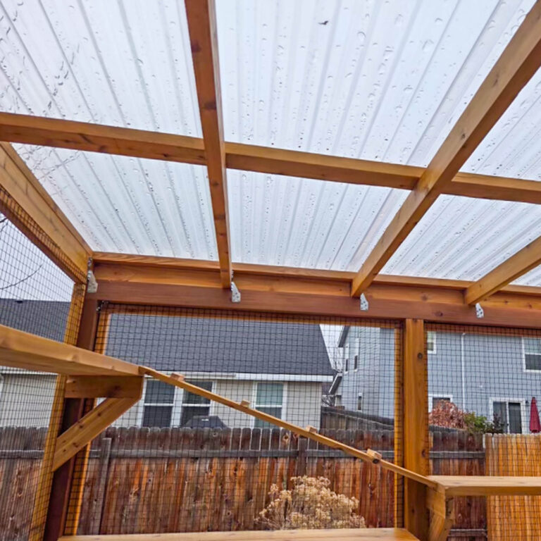 Catio roof interior displaying clear corrugated panels and wooden framing with enrichment ramps below.