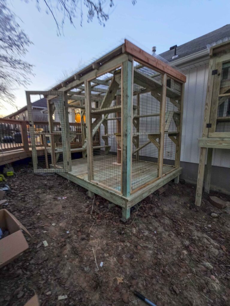 Exterior view of a custom backyard catio with a sloped roof, elevated floor, and wire mesh panels attached to a home in Blue Springs, Missouri.