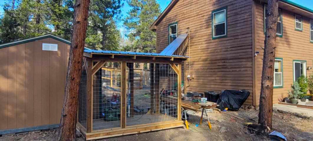 Custom catio in Nederland, Colorado featuring a wood-framed enclosure attached near a cabin and surrounded by tall pine trees.