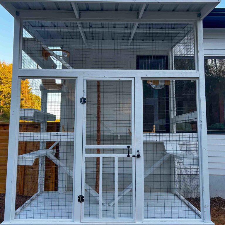 Front view of a white catio with a centered entry door, wire mesh walls, and interior climbing platforms.