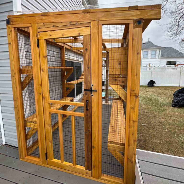 Close-up of a custom catio entry door with wooden framing, secure latch, wire mesh panels, and weather-protected roofing.
