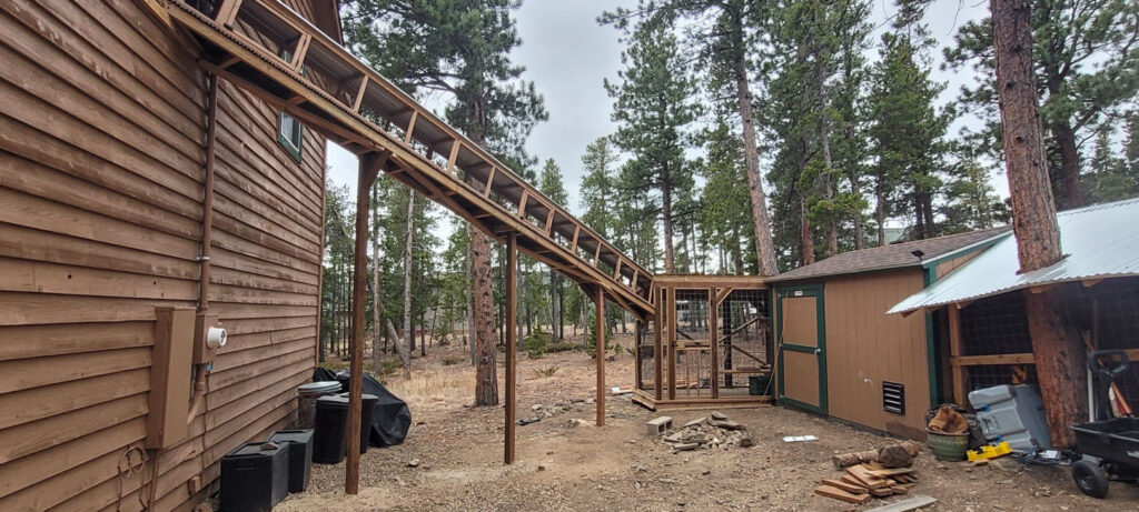 Elevated enclosed cat walkway leading from a house to a freestanding catio structure in a wooded mountain property.