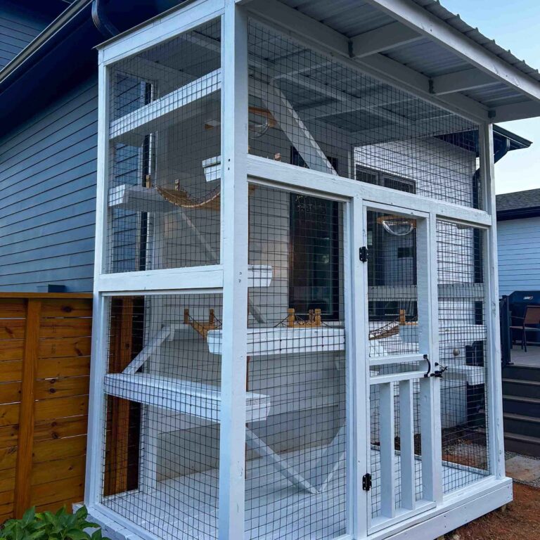 Angled view of a white outdoor cat enclosure attached to a home, featuring platforms and enrichment areas inside.