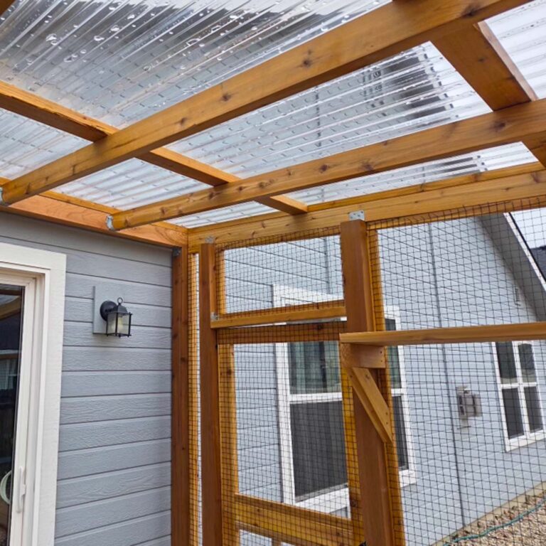 Clear polycarbonate roofing on a catio supported by natural wood framing.