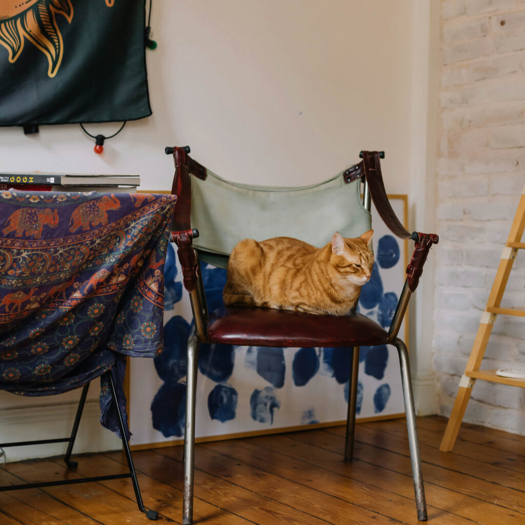 Orange tabby cat resting on a vintage chair inside a cozy, art-filled living room.