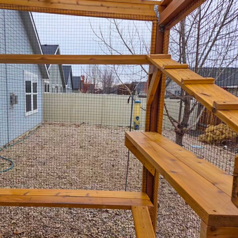 Wooden catio shelves and angled ramps inside an enclosed outdoor space.